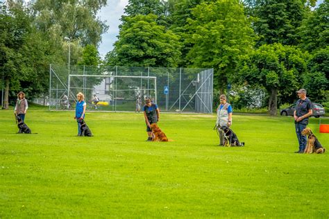 sex in arbon|Sex in Arbon und Umgebung